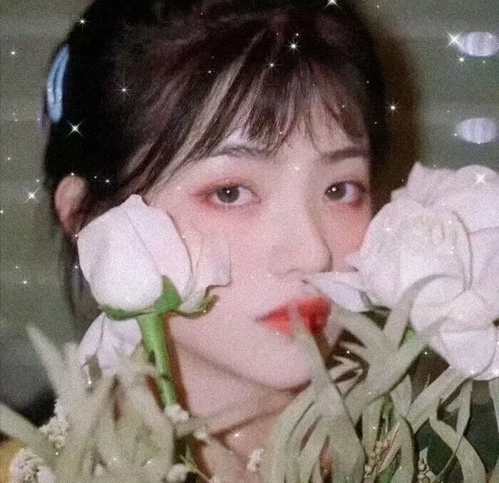 白夜侠